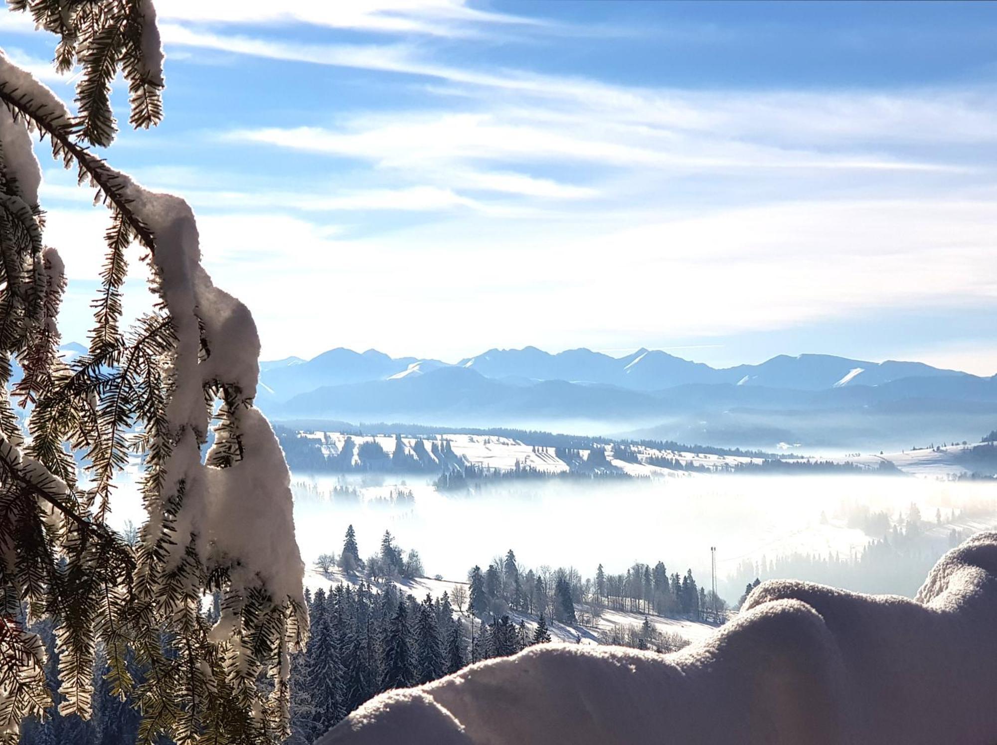 Dom Gorski Klimat-Willa 160 M2 Z Wewnetrzna Sauna Finska, Znizki Do Term Goracy Potok Zakopane Bagian luar foto